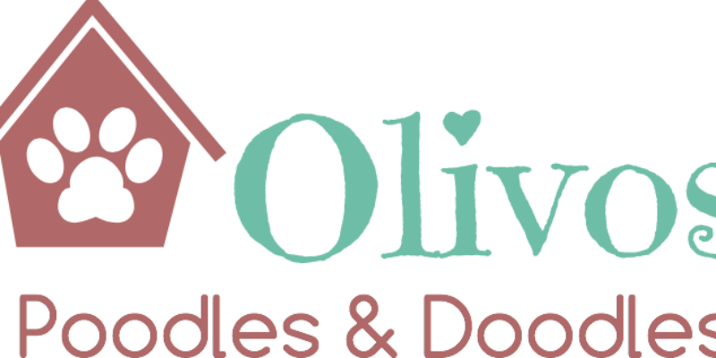 Olivos Poodles & Doodles